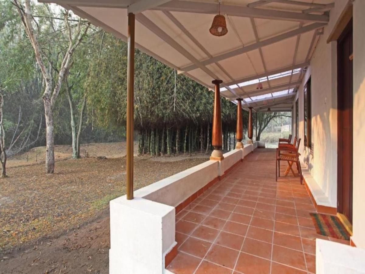 Jungle Hut Hotel Masinagudi Ngoại thất bức ảnh