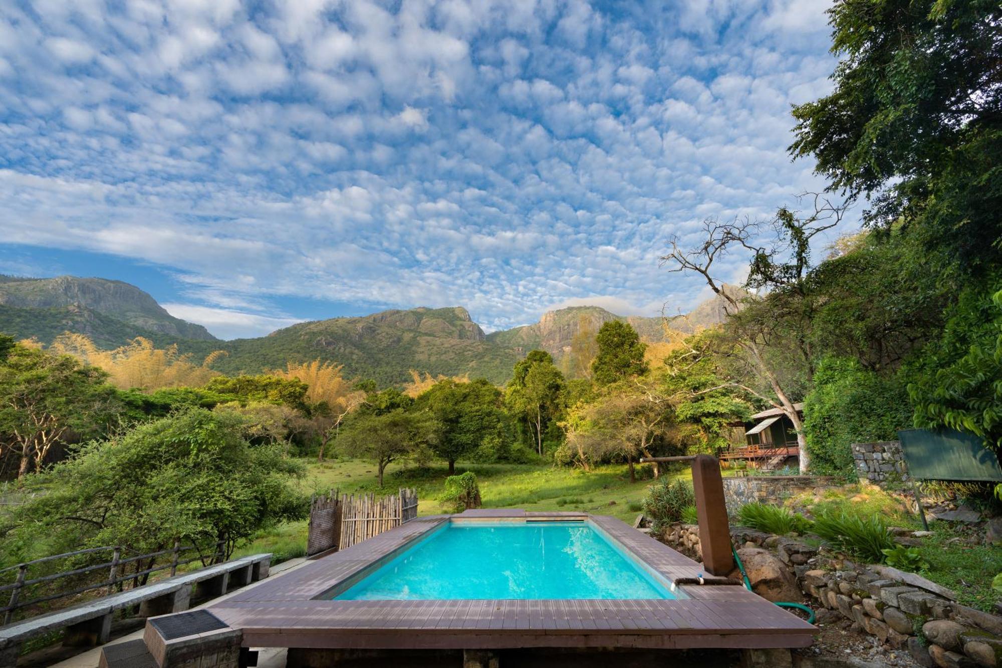 Jungle Hut Hotel Masinagudi Ngoại thất bức ảnh